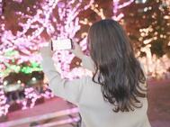 🐬 오늘의 제일 타기