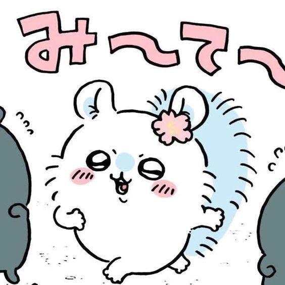 오키니 토크 정보