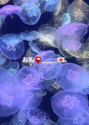 감사의 지명 📮_____💌.