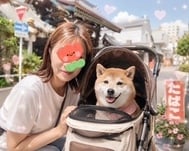 아무것도 없어.