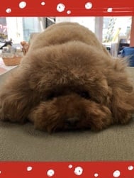 죄송합니다