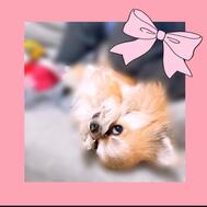 3월🌸