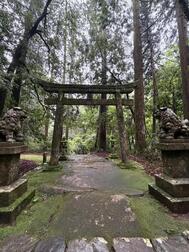 신사⛩️