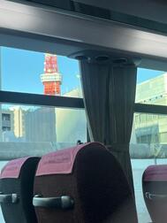 병아리