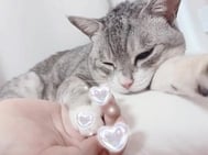 흔들린 기분😿