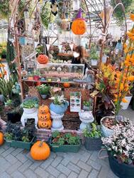 🎃🍃