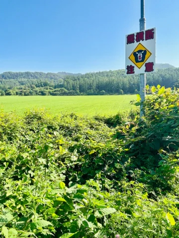 20260810_220116_09e4c03e2d5986b67b5d99ab5ab7d5ca.png